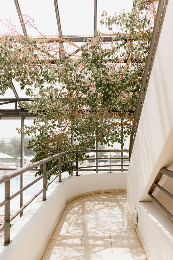 Hotel Les Corallines - Thalasso & Spa 拉格朗德默特 外观 照片